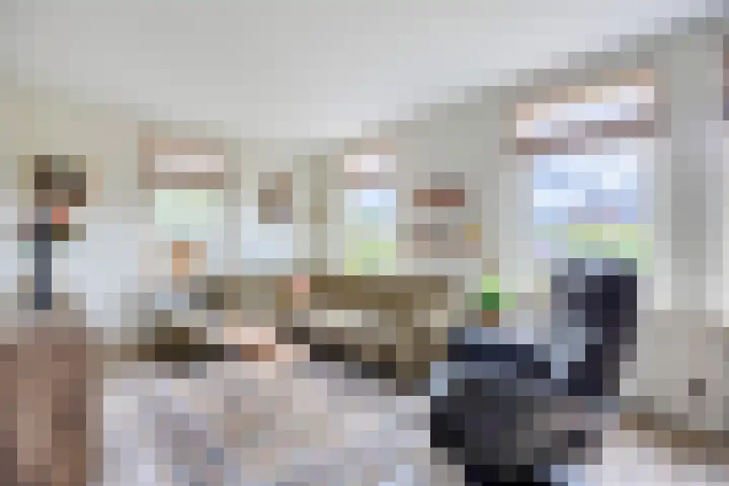 Eltjenswijk 49 Oude Pekela thumbnail 11