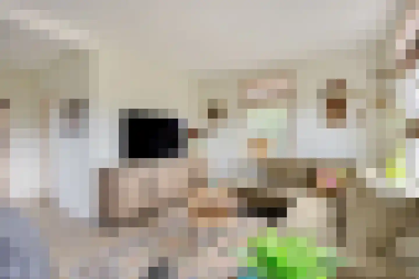 Eltjenswijk 49 Oude Pekela thumbnail 12
