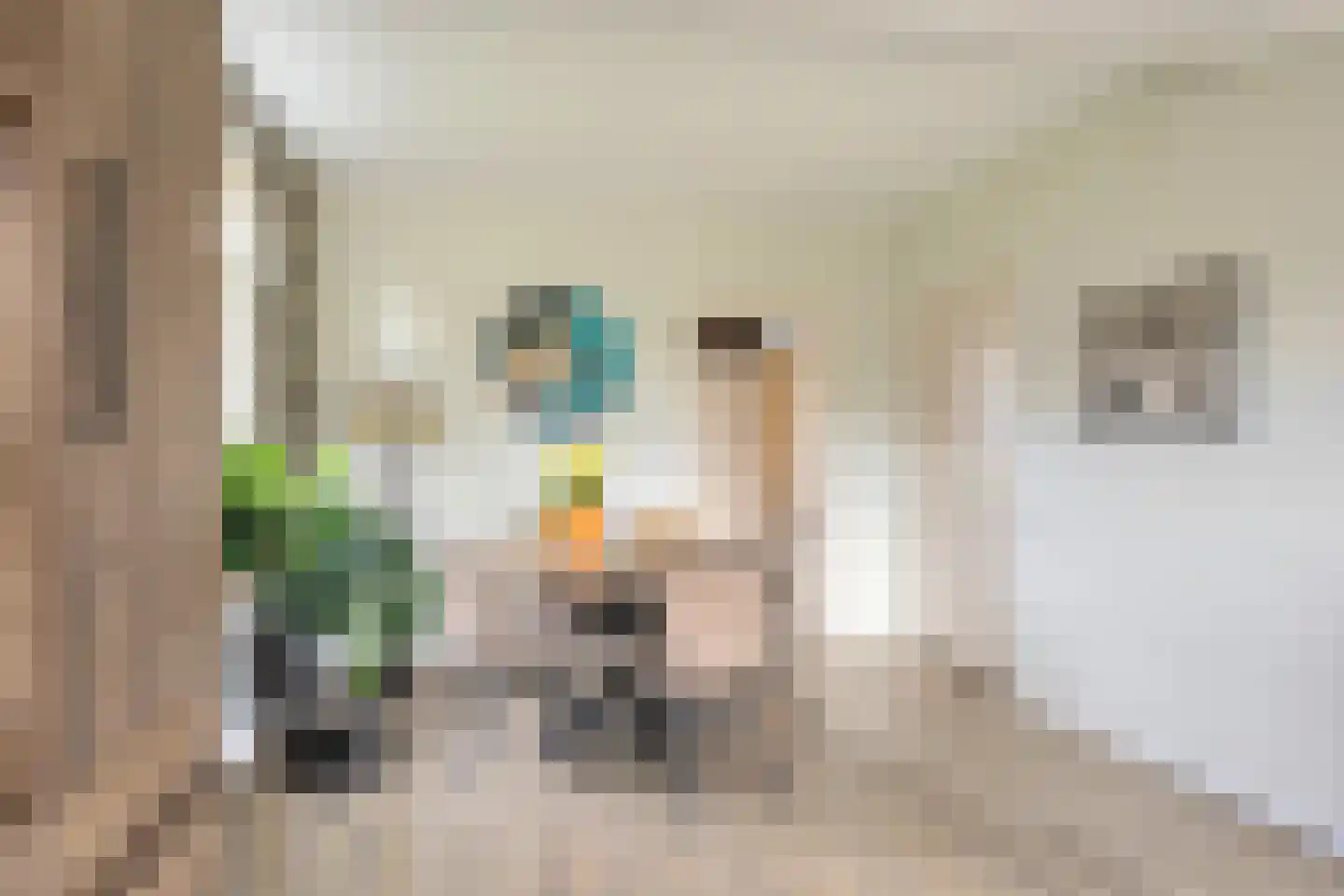 Eltjenswijk 49 Oude Pekela thumbnail 13