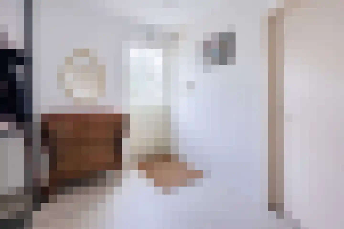 Eltjenswijk 49 Oude Pekela thumbnail 19