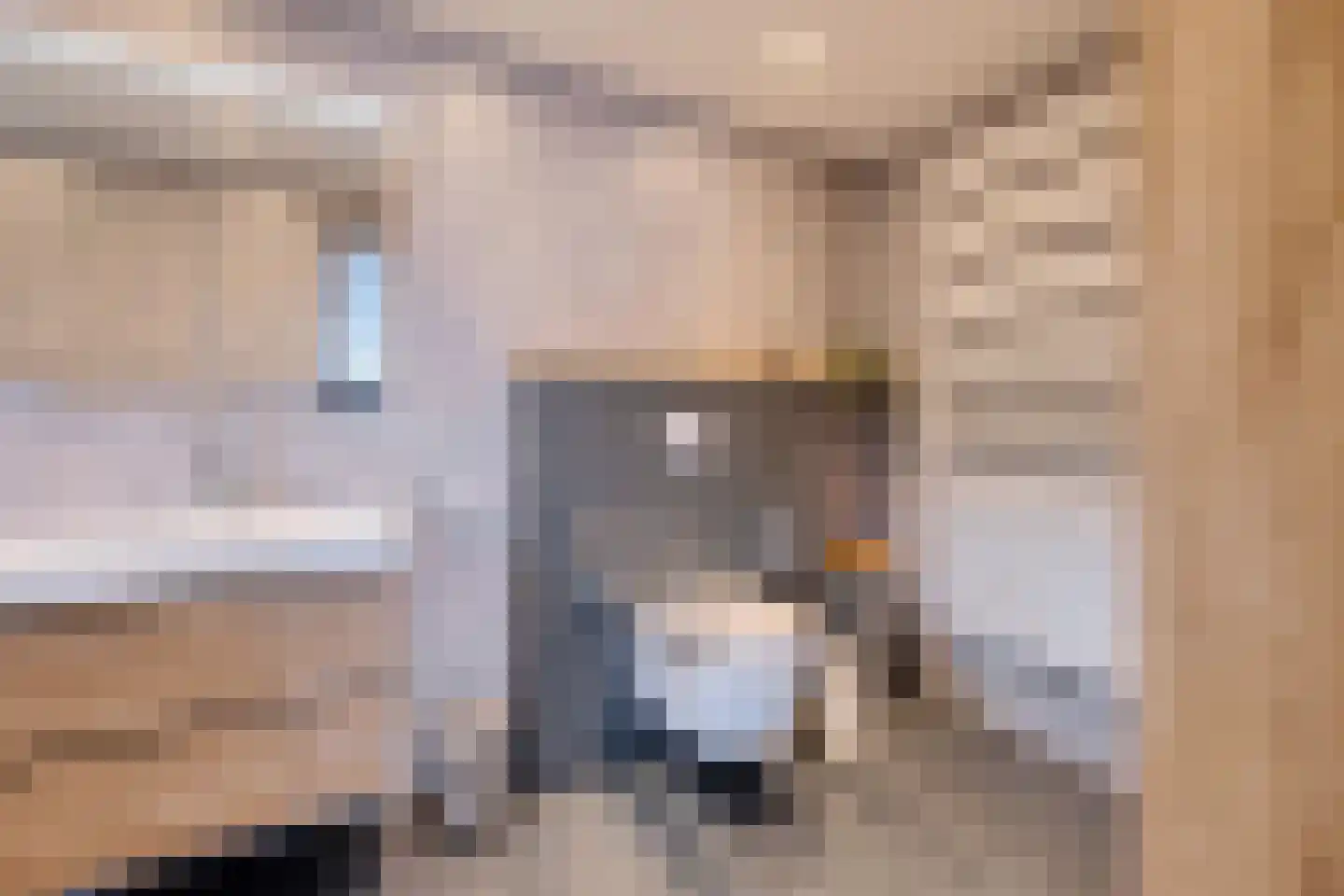 Eltjenswijk 49 Oude Pekela thumbnail 24
