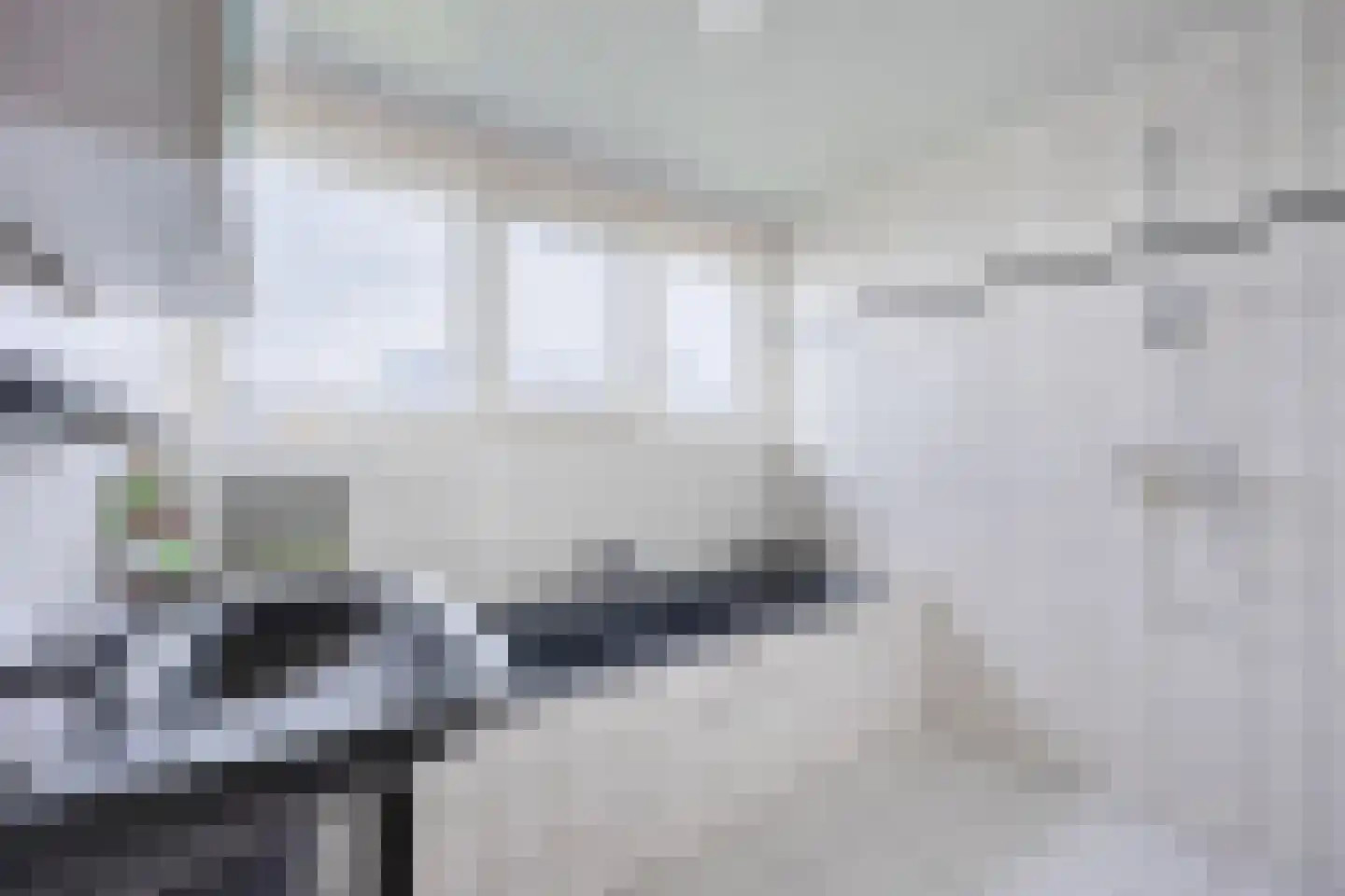 Eltjenswijk 49 Oude Pekela thumbnail 30