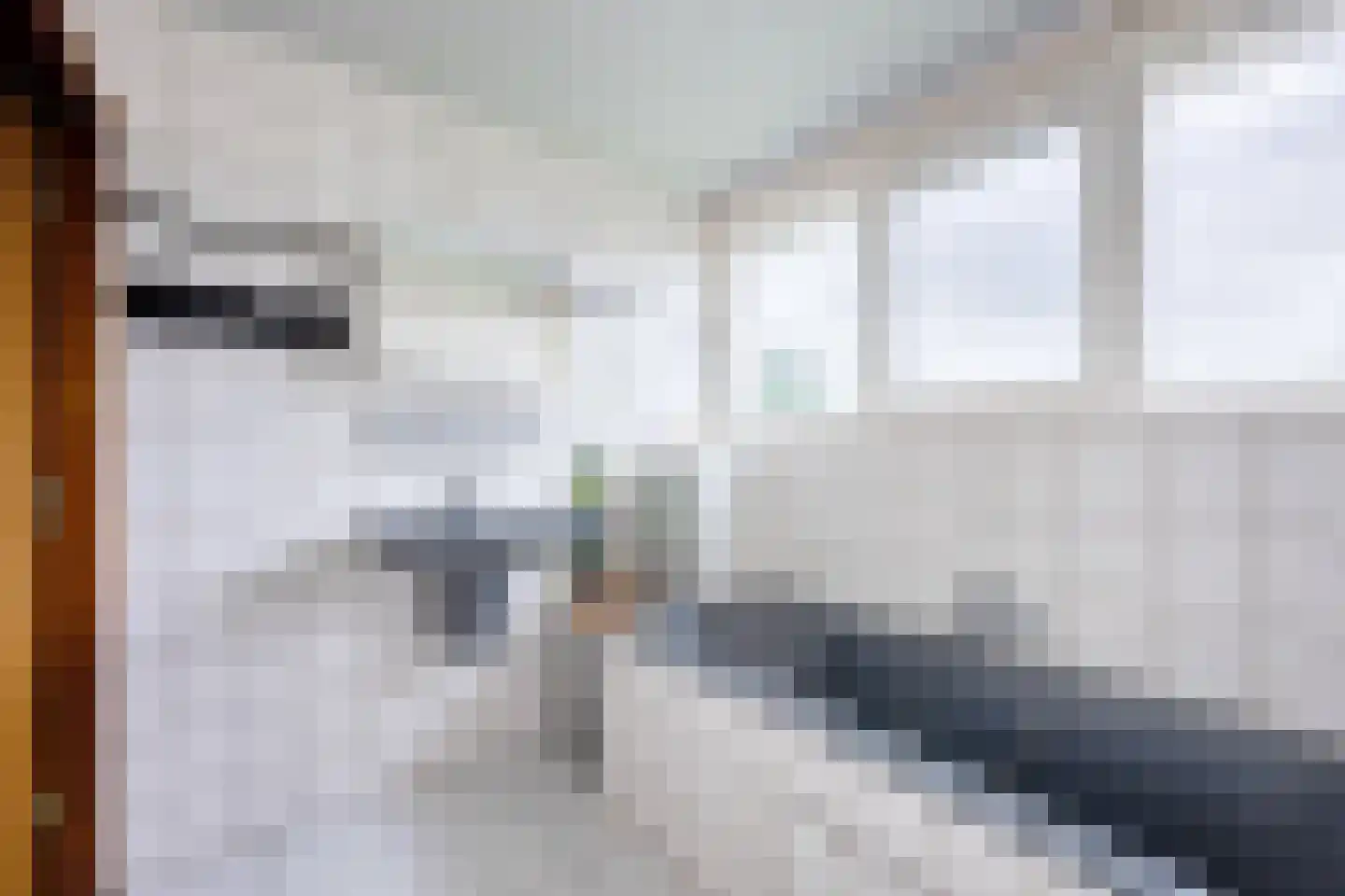 Eltjenswijk 49 Oude Pekela thumbnail 31
