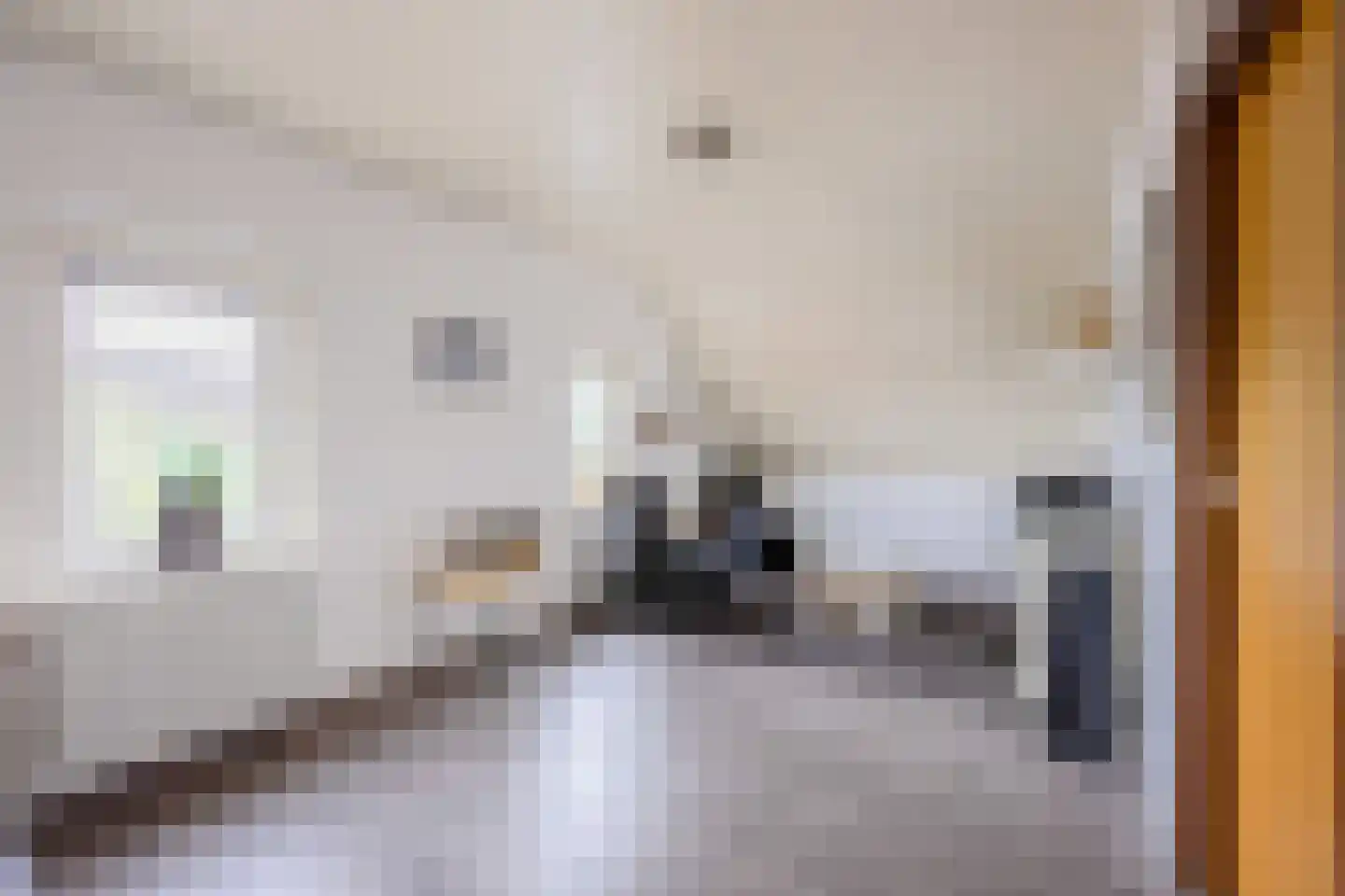 Eltjenswijk 49 Oude Pekela thumbnail 33