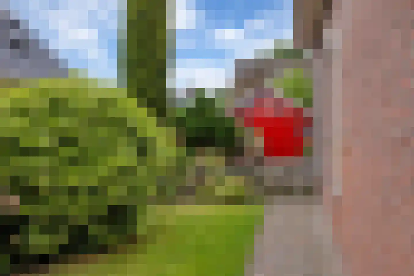Eltjenswijk 49 Oude Pekela thumbnail 37