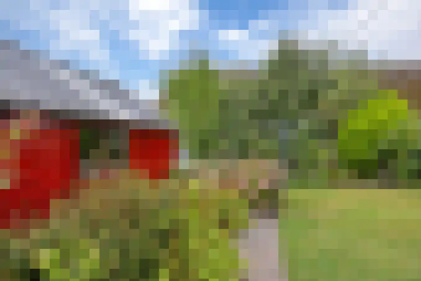 Eltjenswijk 49 Oude Pekela thumbnail 39