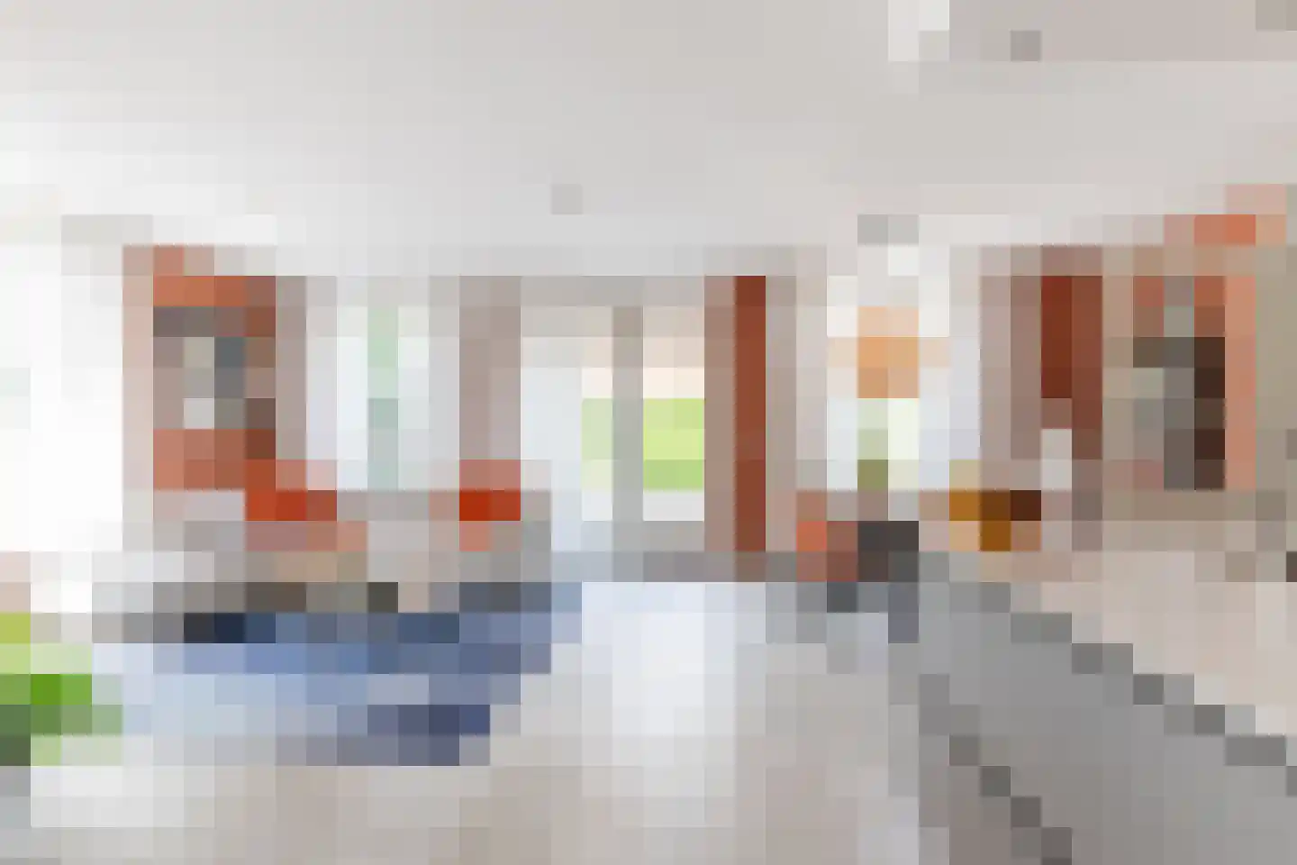 Elvira 2 02 Berkel-Enschot thumbnail 4