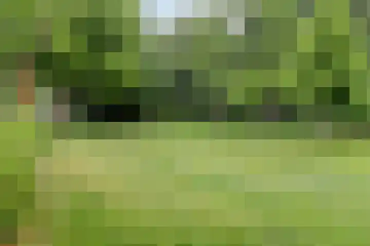 Elviradal 13 Valkenswaard thumbnail 24