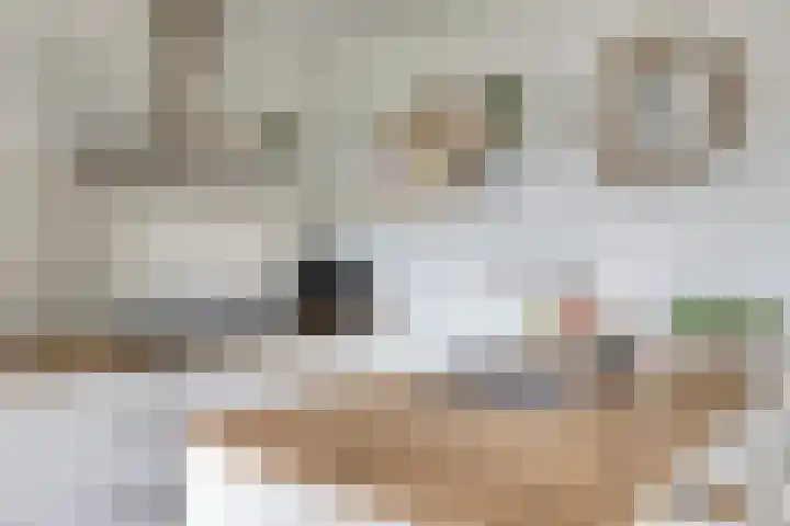 Elviradal 13 Valkenswaard thumbnail 8