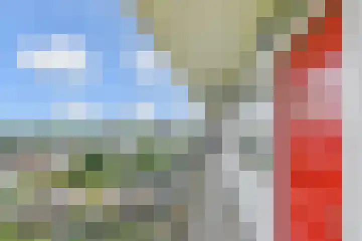 Elviraland 100 Den Haag thumbnail 10