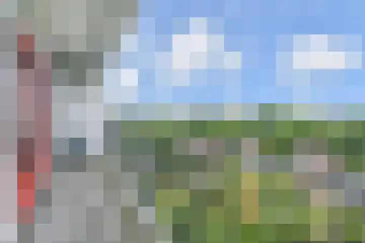 Elviraland 100 Den Haag thumbnail 11