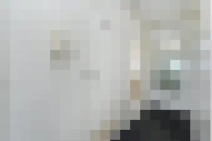 Elviraland 100 Den Haag thumbnail 13