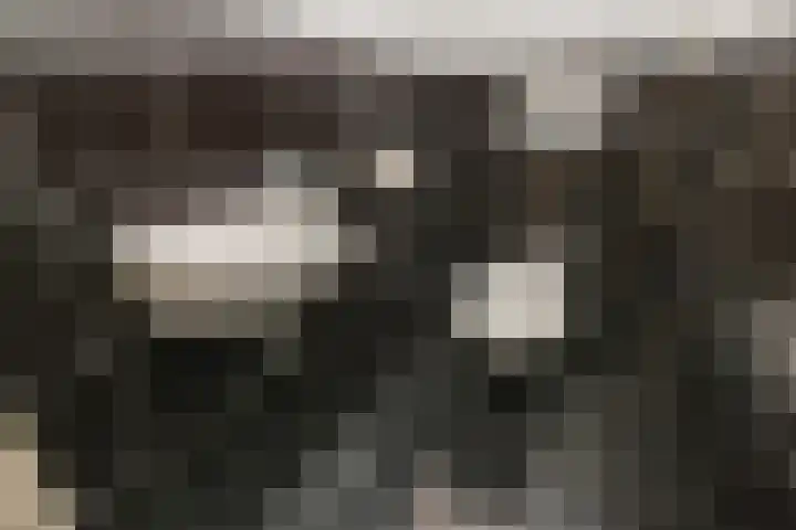 Elviraland 100 Den Haag thumbnail 19