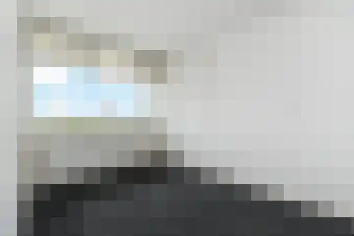 Elviraland 100 Den Haag thumbnail 20
