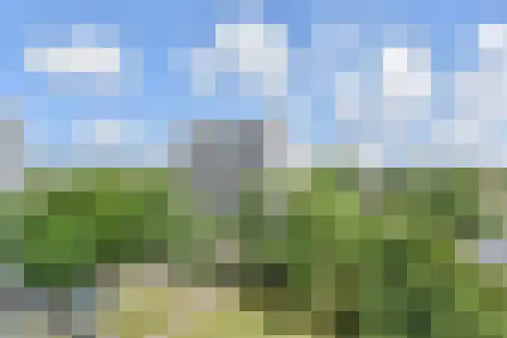 Elviraland 100 Den Haag thumbnail 24