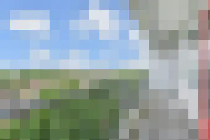 Elviraland 100 Den Haag thumbnail 25