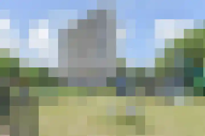 Elviraland 100 Den Haag thumbnail 5