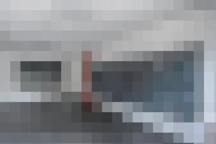 Elviraland 100 Den Haag thumbnail 6