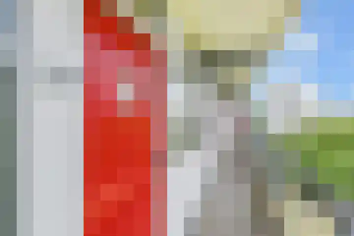 Elviraland 100 Den Haag thumbnail 9