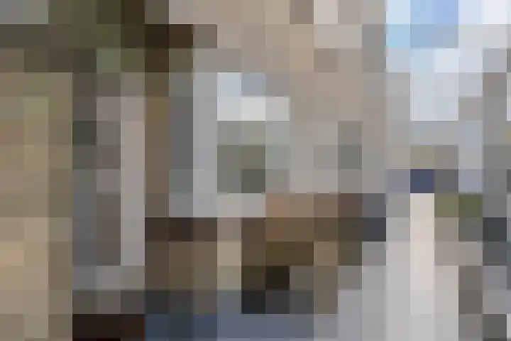 Elviraland 13 Den Haag thumbnail 5