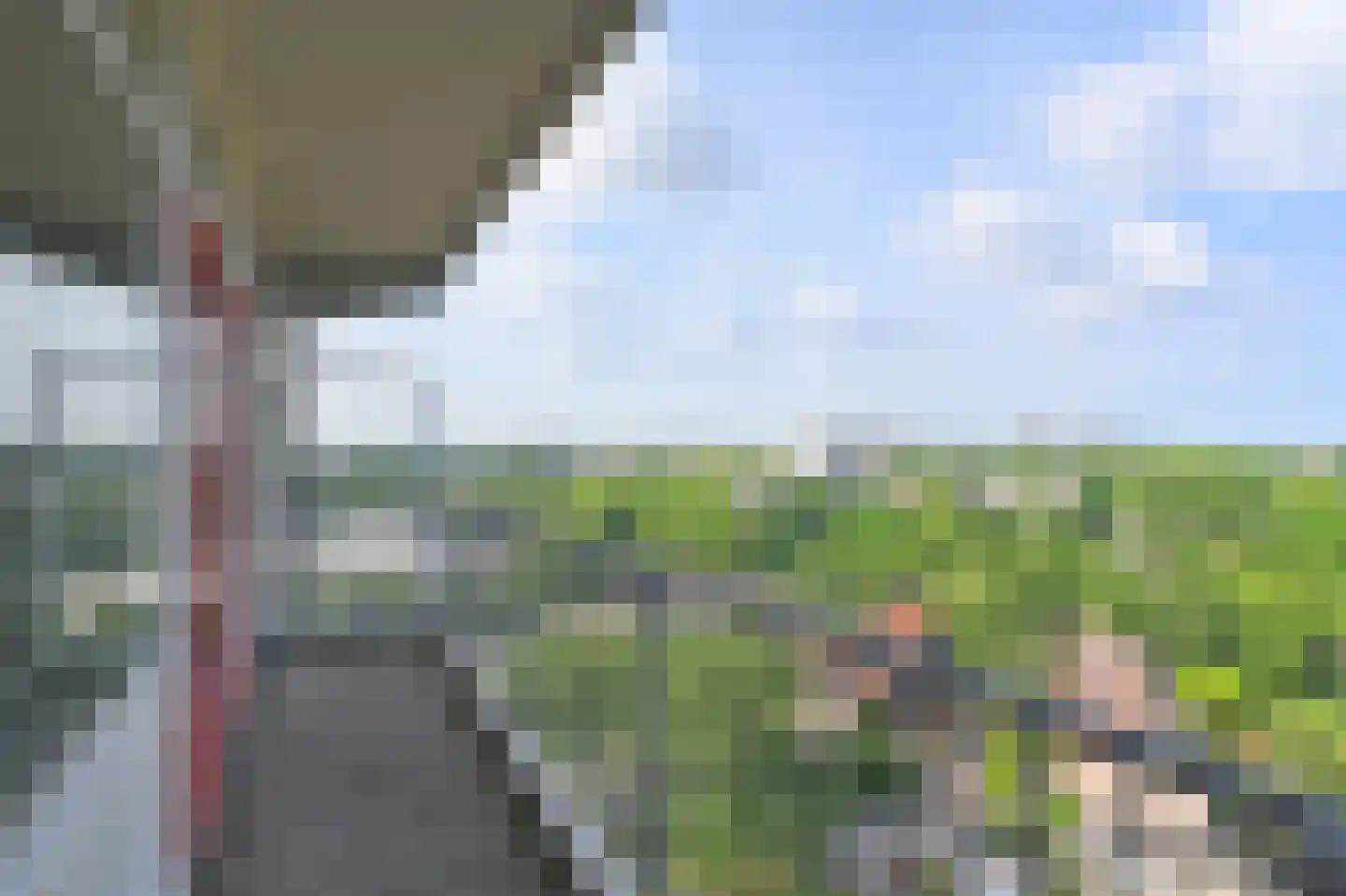Elviraland 130 Den Haag thumbnail 12
