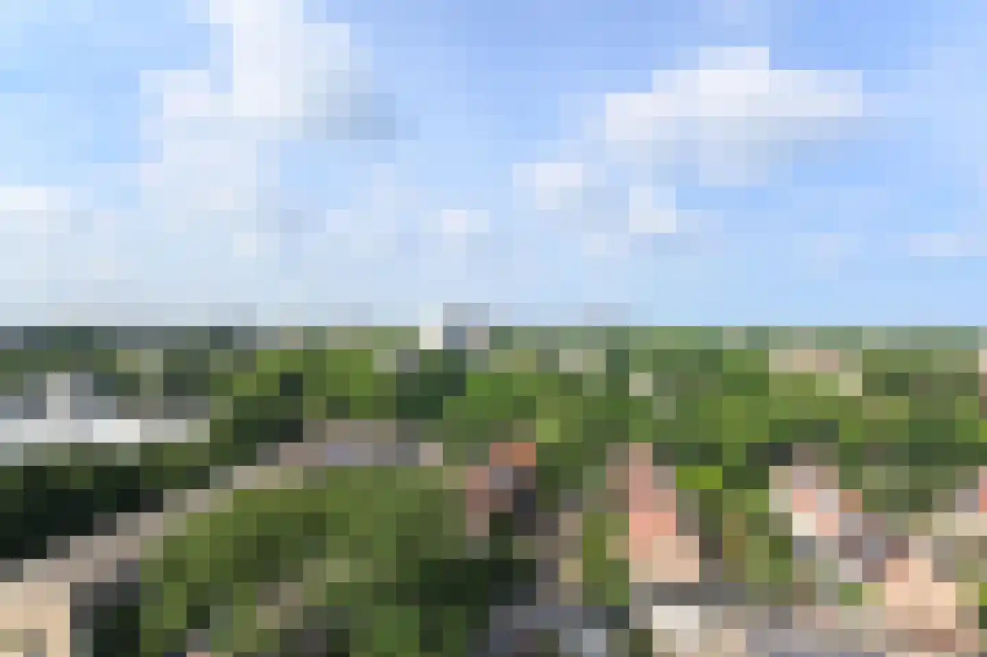 Elviraland 130 Den Haag thumbnail 13