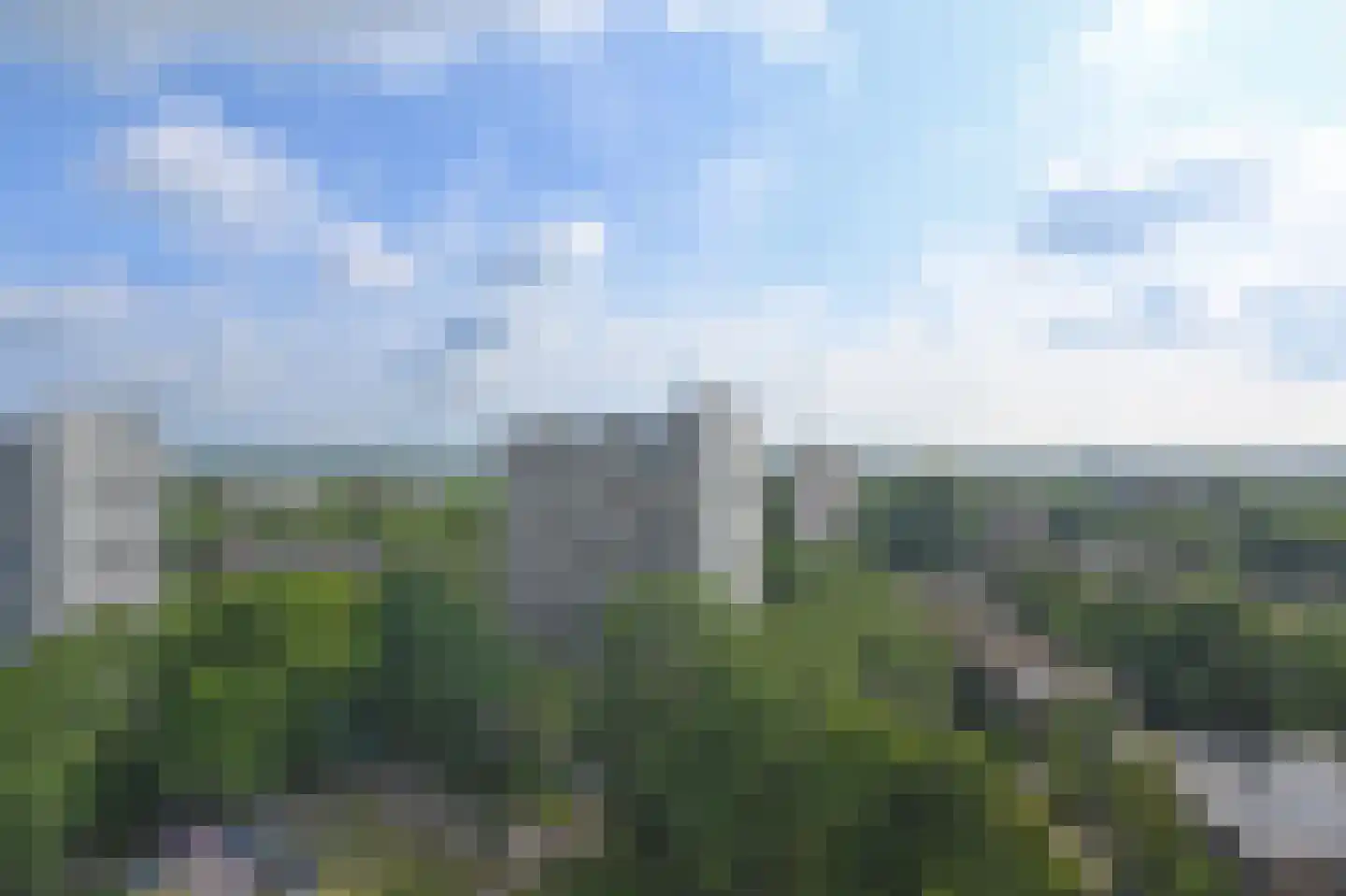 Elviraland 130 Den Haag thumbnail 15