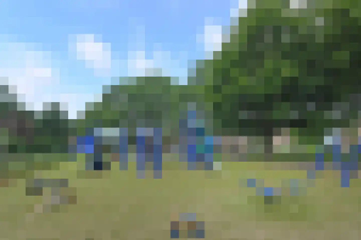 Elviraland 130 Den Haag thumbnail 16
