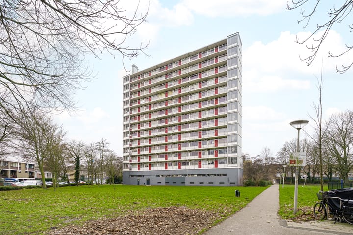 Elviraland 144 in 's-Gravenhage foto