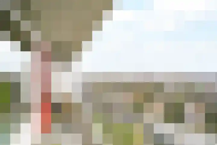 Elviraland 144 Den Haag thumbnail 12