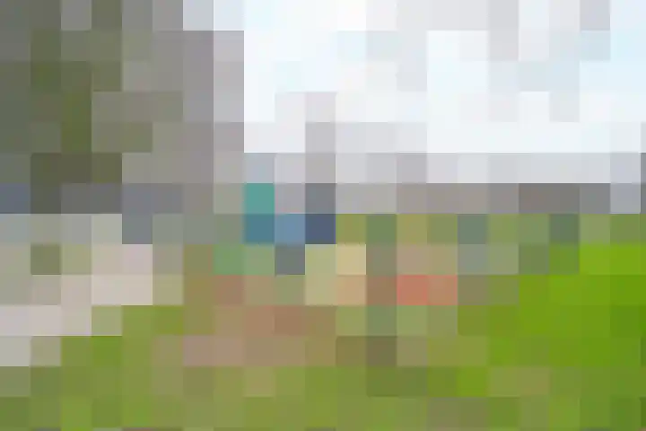 Elviraland 144 Den Haag thumbnail 21