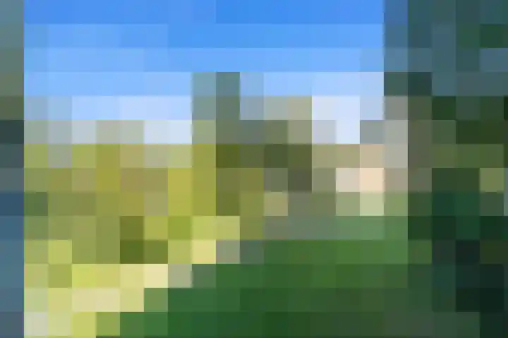 Elviraland 194 Den Haag thumbnail 23