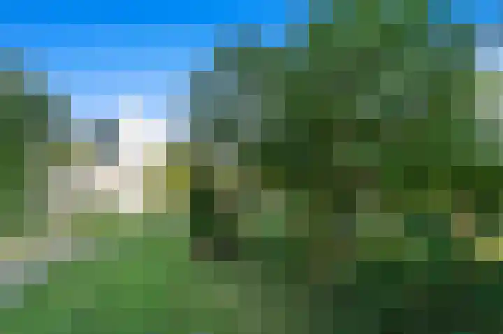 Elviraland 194 Den Haag thumbnail 24