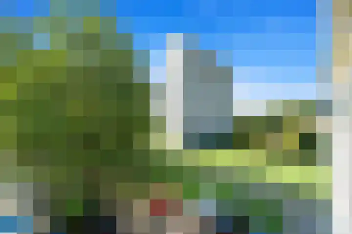Elviraland 194 Den Haag thumbnail 25