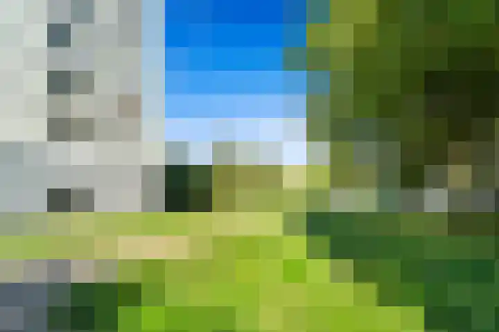 Elviraland 194 Den Haag thumbnail 27