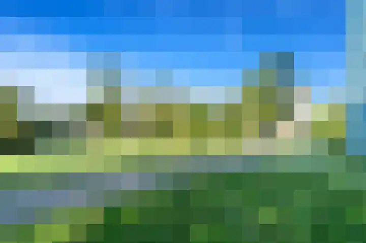Elviraland 194 Den Haag thumbnail 31