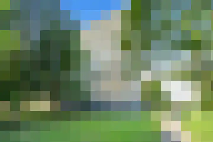 Elviraland 194 Den Haag thumbnail 5