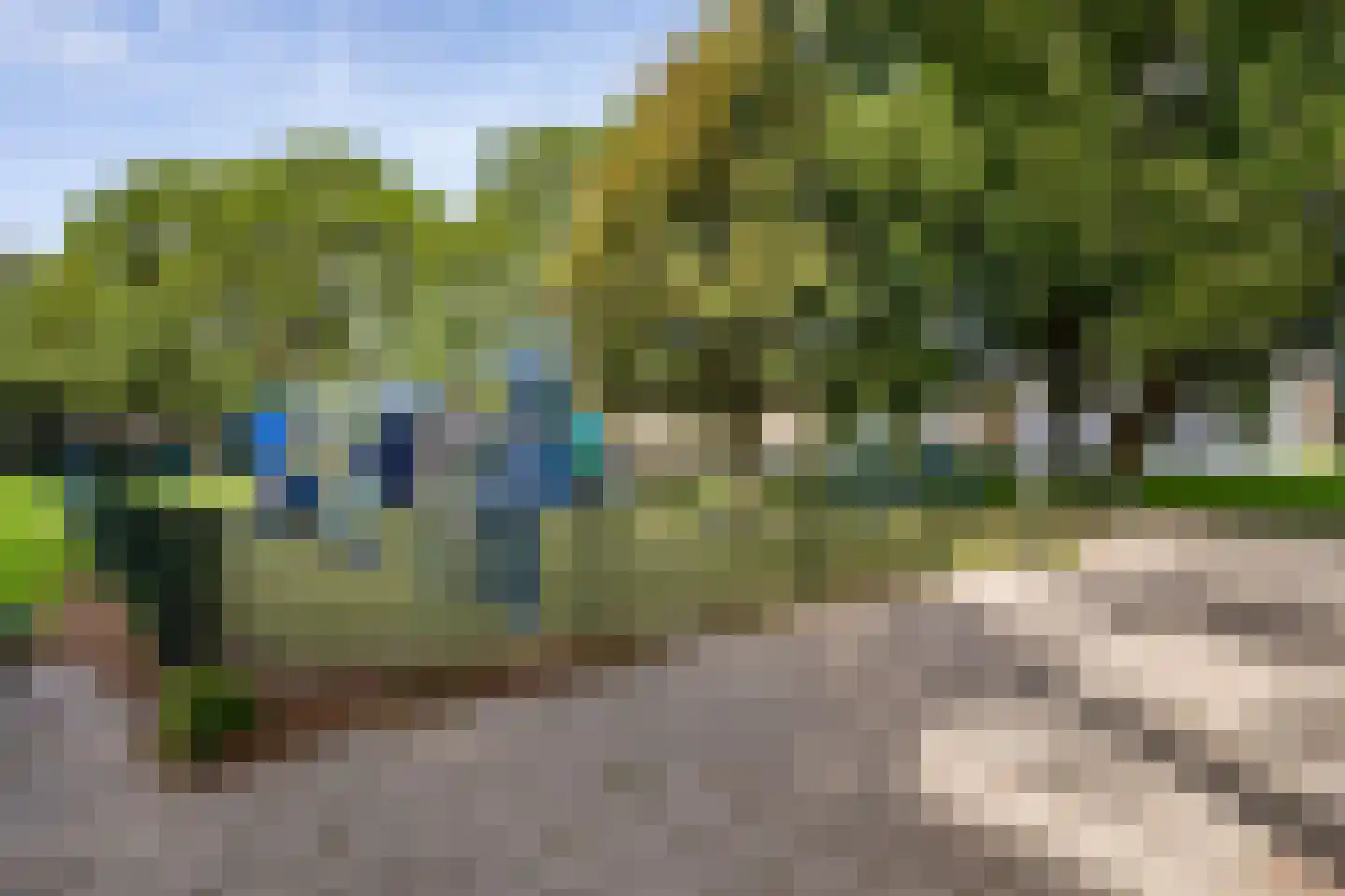 Elviraland 220 Den Haag thumbnail 10