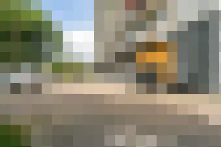 Elviraland 220 Den Haag thumbnail 11
