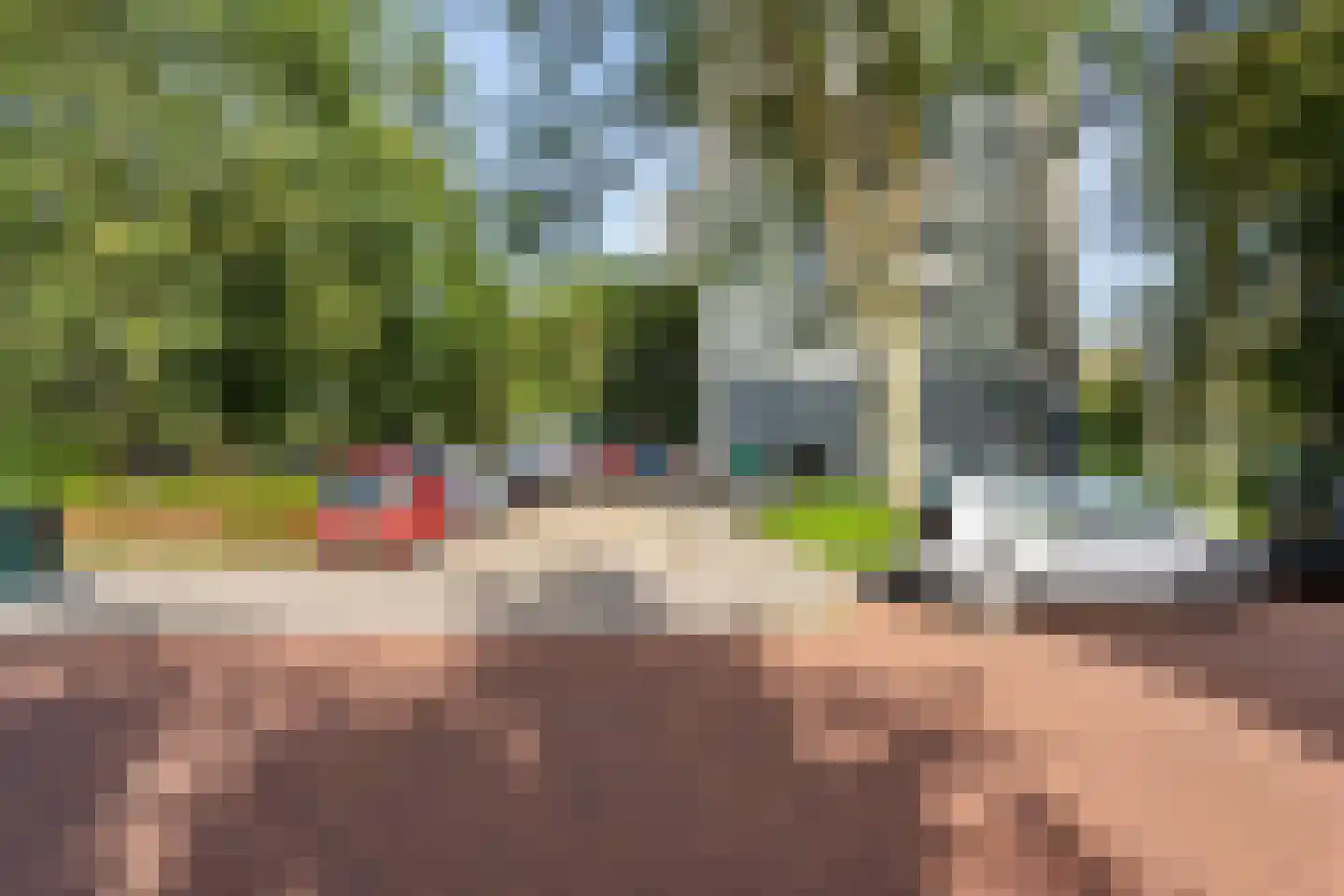 Elviraland 220 Den Haag thumbnail 11