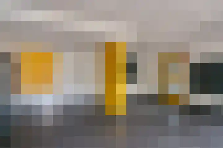 Elviraland 220 Den Haag thumbnail 12