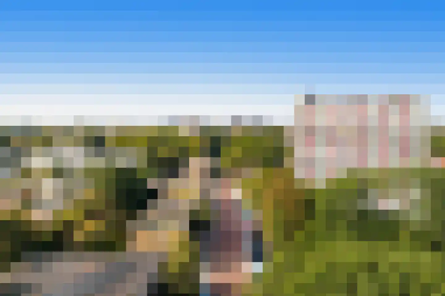 Elviraland 220 Den Haag thumbnail 13