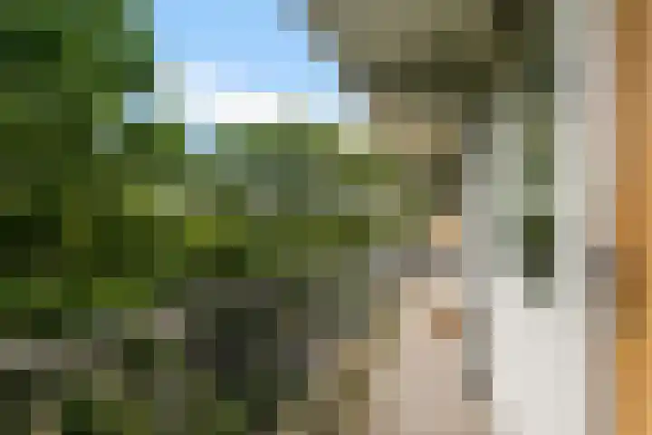 Elviraland 220 Den Haag thumbnail 15