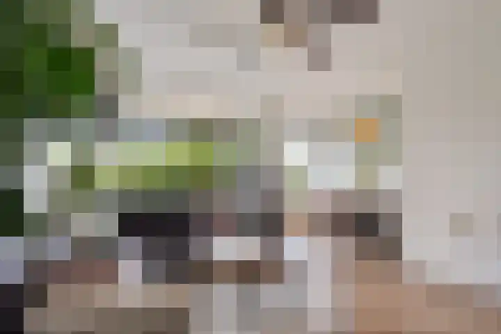 Elviraland 220 Den Haag thumbnail 22