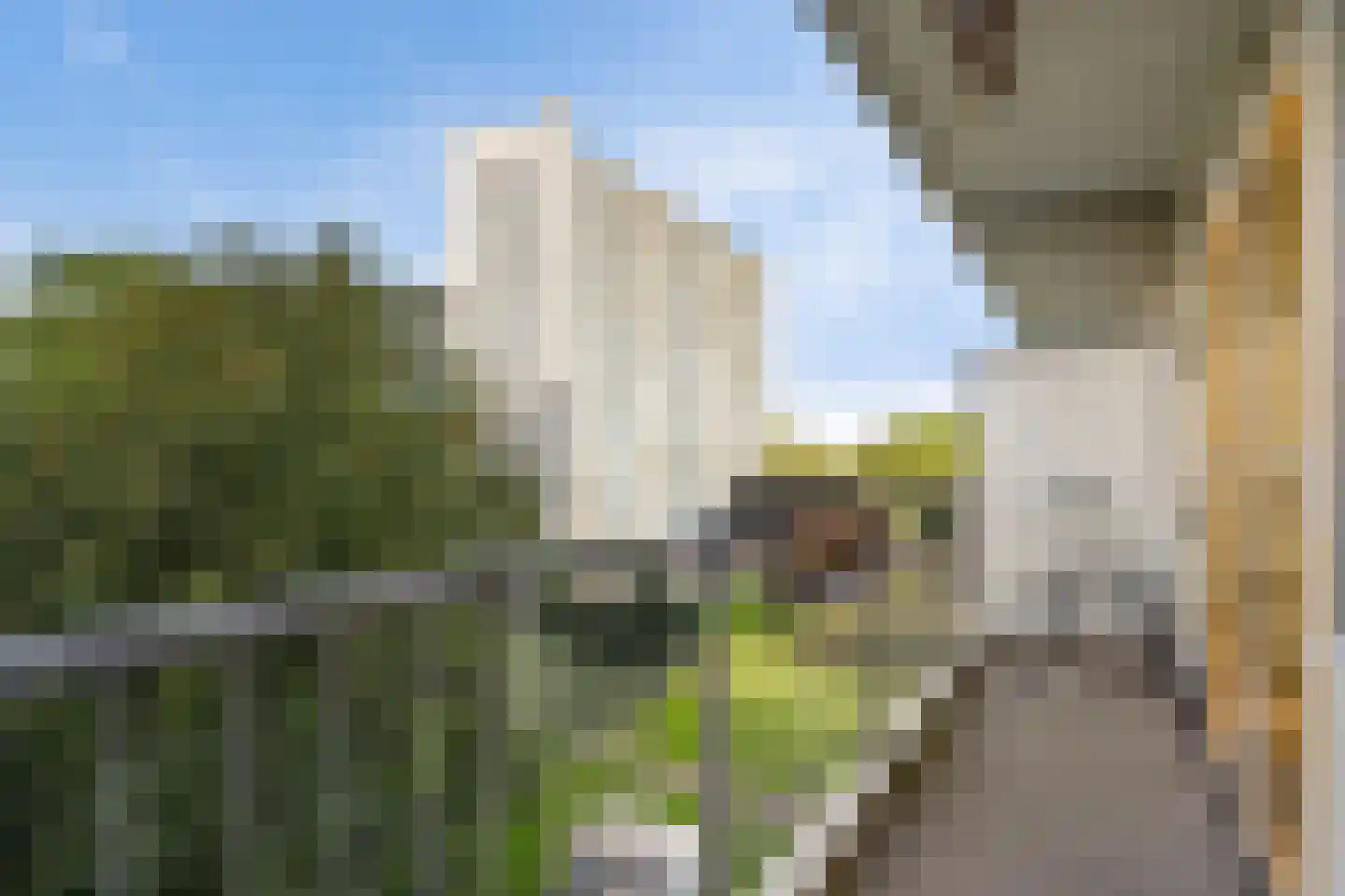 Elviraland 220 Den Haag thumbnail 23