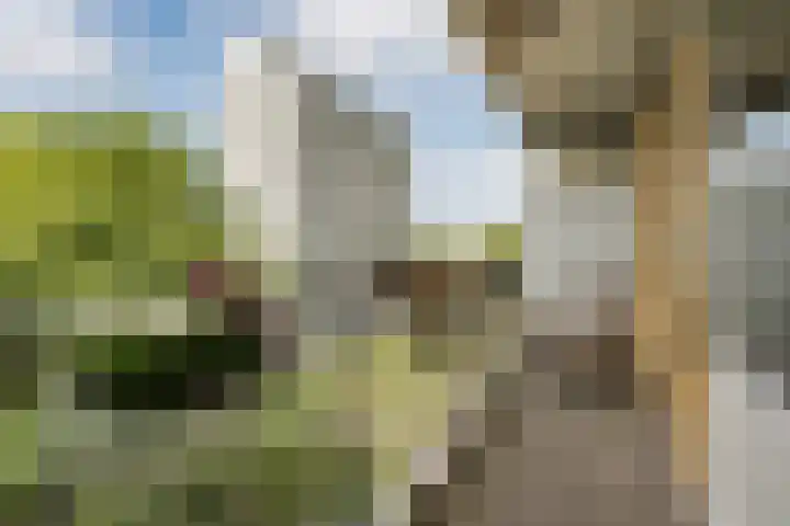 Elviraland 220 Den Haag thumbnail 28