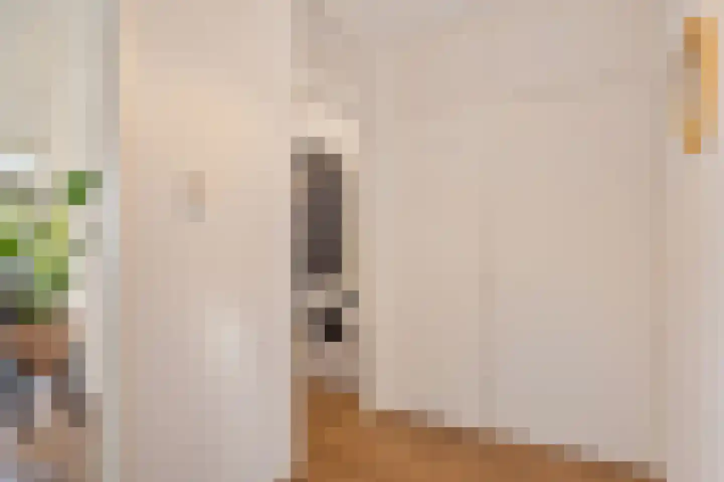 Elviraland 220 Den Haag thumbnail 30