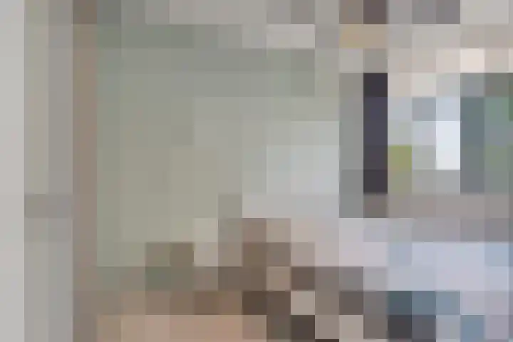 Elviraland 220 Den Haag thumbnail 33