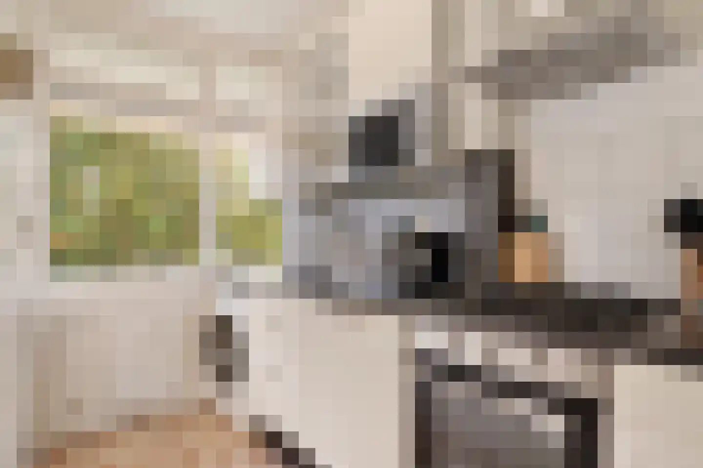 Elviraland 220 Den Haag thumbnail 6