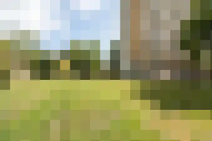 Elviraland 220 Den Haag thumbnail 6